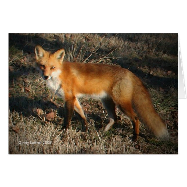 Red Fox Card (Vorderseite (Horizontal))