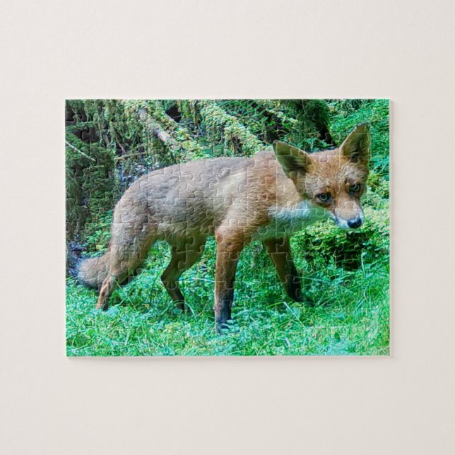 Red Fox Cub Puzzle (Horizontal)