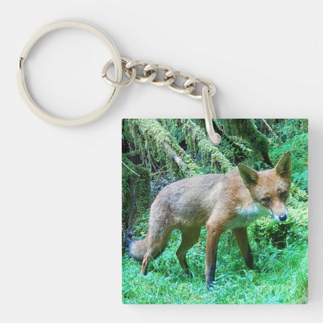 Red Fox Cub Schlüsselanhänger (Vorderseite)