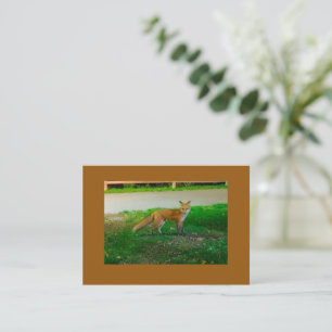 Red Fox Flat Note Card Mitteilungskarte