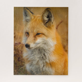 Red Fox Foto Puzzle