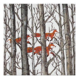 Red Fox Foxes in Grey Woods Art Poster