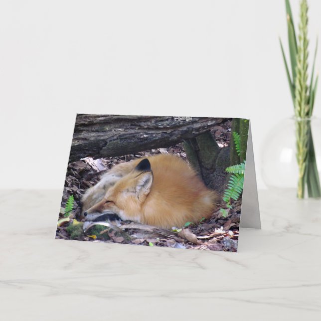 Red Fox Grußkarte Karte (Vorderseite)