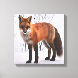 Red Fox im Winter Leinwanddruck