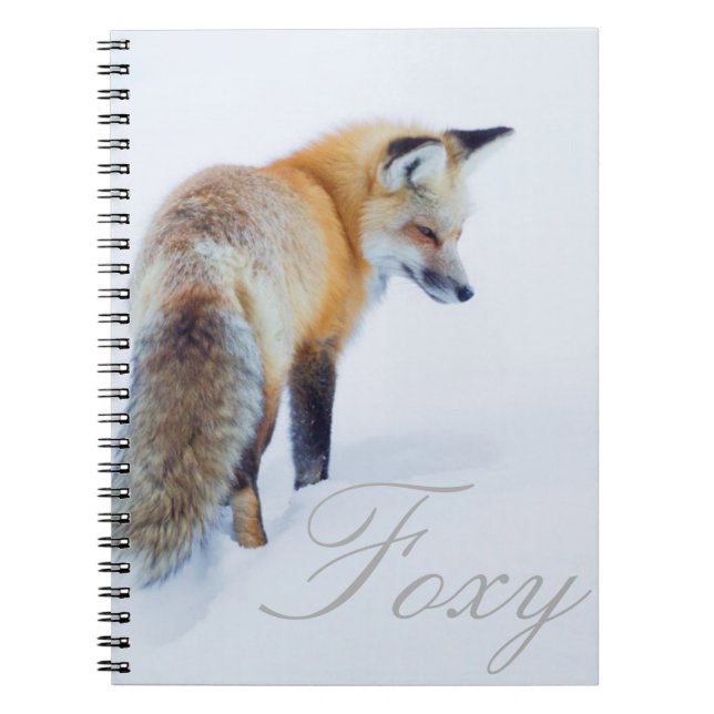 Red Fox im Winter Notizblock (Vorderseite)