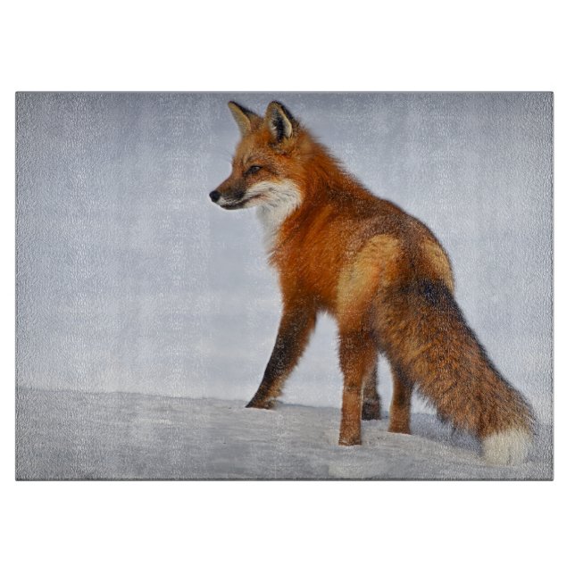 Red Fox im Winterschnee Schneidebrett (Vorderseite)