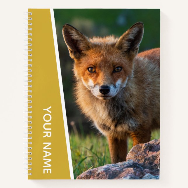 Red Fox in Australien, Gold Notizbuch (Vorderseite)