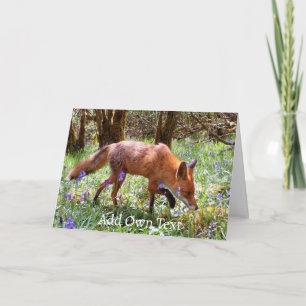 Red Fox in den Bluebells Karte