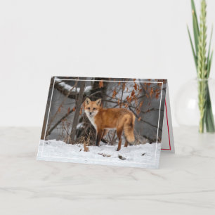Red Fox in der Snow Holiday Card Feiertagskarte