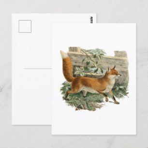 Red Fox in Rustic Country Hütte Illustration Postkarte