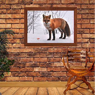 Red Fox in Snow Poster