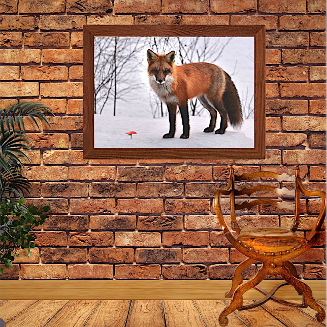 Red Fox in Snow Poster (Von Creator hochgeladen)