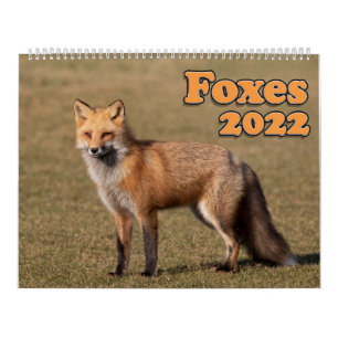 Red Fox-Kalender Kalender