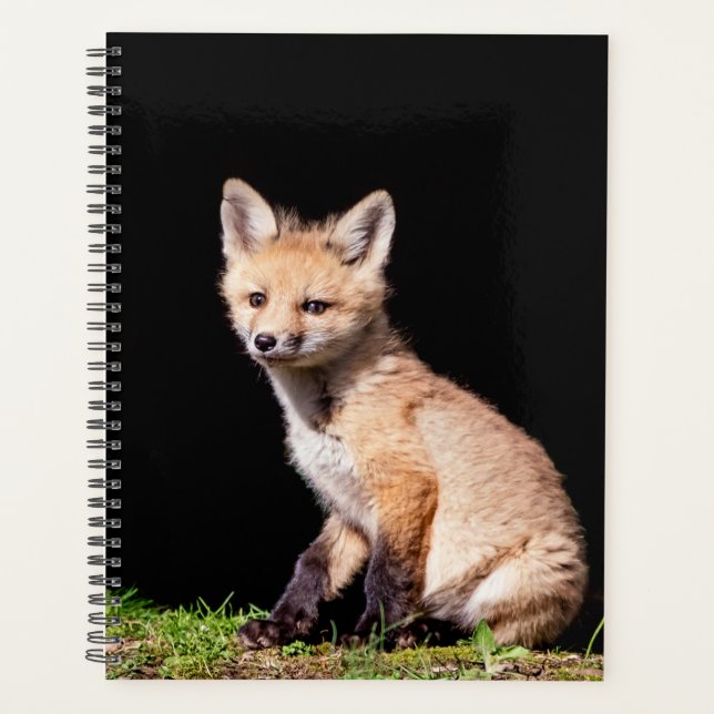 Red Fox Kit 2024 Planer (Vorderseite)