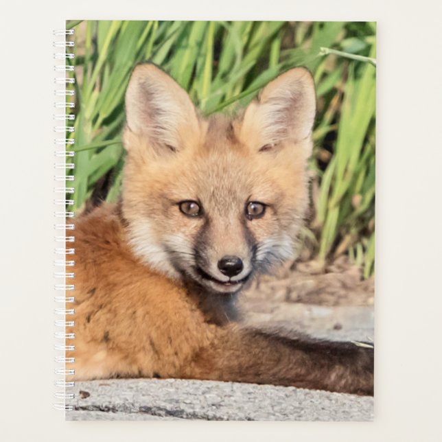 Red Fox Kit 2024 Planer (Vorderseite)