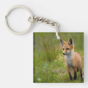 Red Fox Kit auf Graswiese Schlüsselanhänger