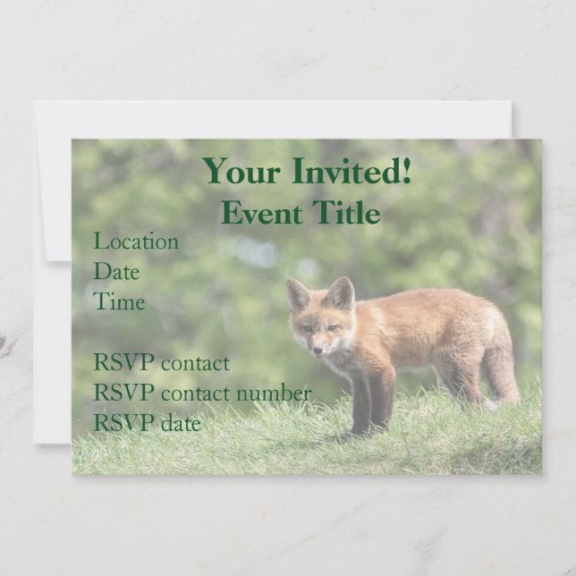 Red Fox Kit Einladung (Vorderseite)