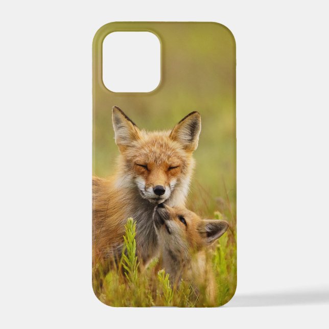 Red Fox Kit für Momma iPhone Hülle (Rückseite)