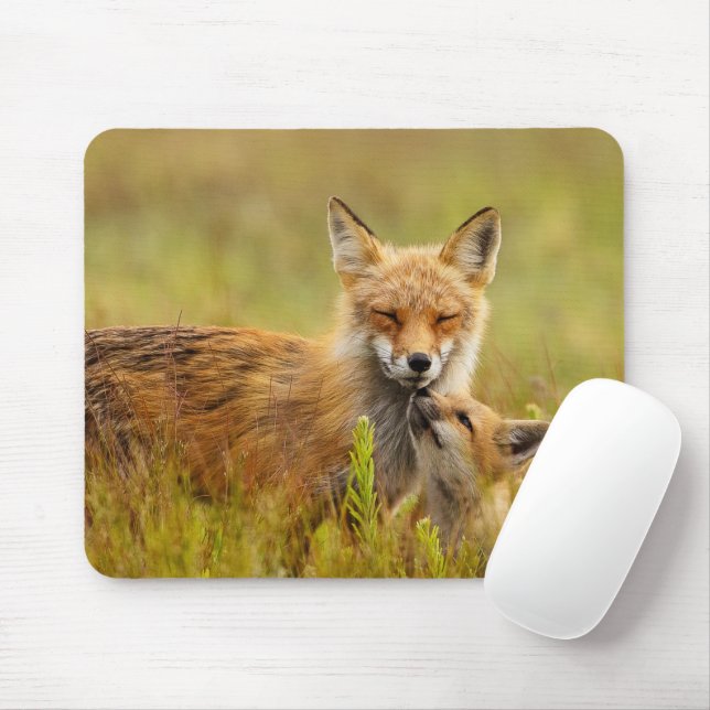 Red Fox Kit für Momma Mousepad (Mit Mouse)