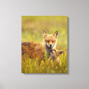 Red Fox Kit für Momma Vixen Canvas Print Leinwanddruck