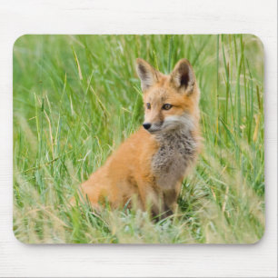 Red Fox Kit im Gras in der Nähe von Garten Mousepad