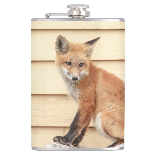 Red Fox Kit im Hudson Tal Flachmann (Vorderseite)