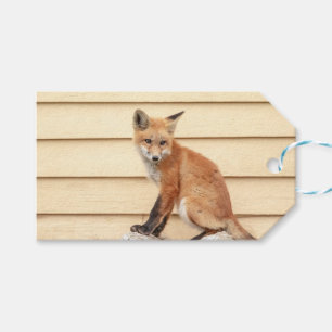 Red Fox Kit im Hudson Tal Geschenkanhänger