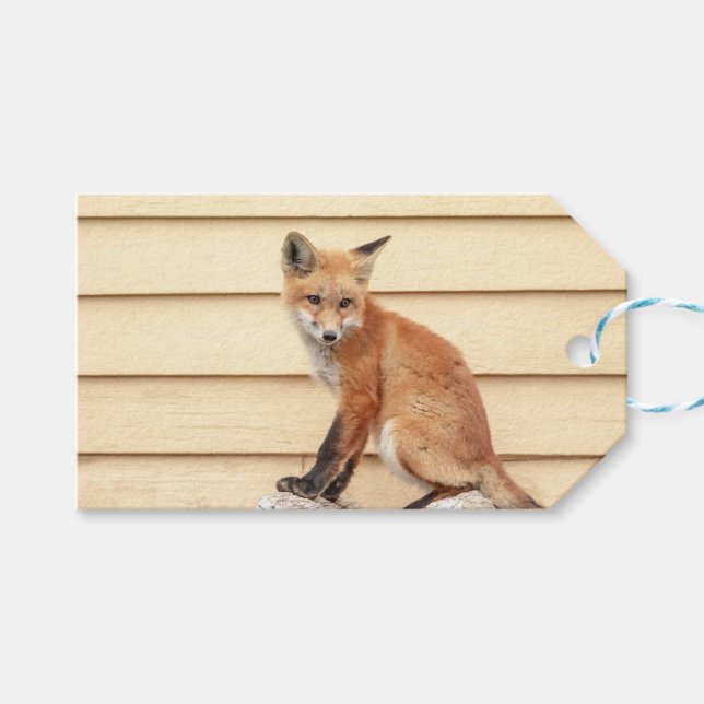 Red Fox Kit im Hudson Tal Geschenkanhänger (Vorderseite (Horizontal))