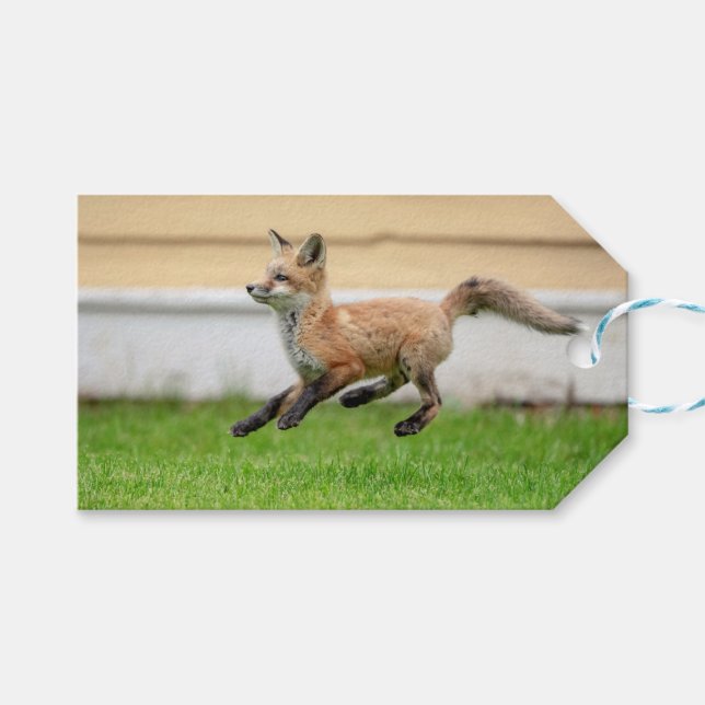 Red Fox Kit im Hudson Tal Geschenkanhänger (Vorderseite (Horizontal))
