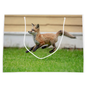 Red Fox Kit im Hudson Tal Große Geschenktüte
