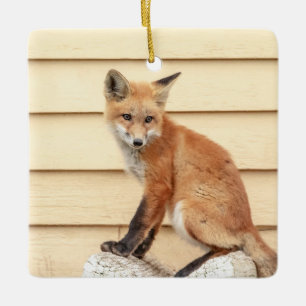 Red Fox Kit im Hudson Tal Keramikornament