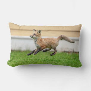 Red Fox Kit im Hudson Tal Lendenkissen