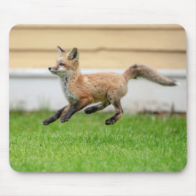 Red Fox Kit im Hudson Tal Mousepad (Vorne)