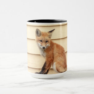 Red Fox Kit im Hudson Tal Tasse
