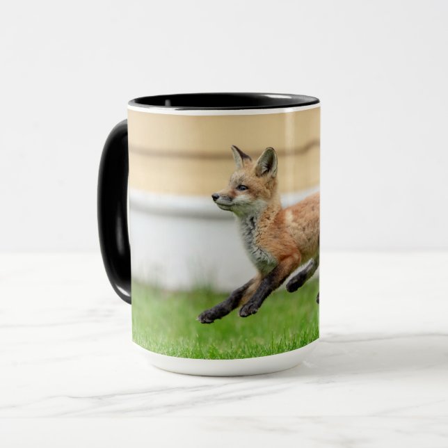 Red Fox Kit im Hudson Tal Tasse (Vorderseite Links)