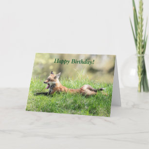Red Fox Kit Karte