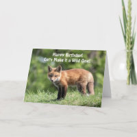 Red Fox Kit