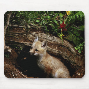 Red Fox Kit Mousepad