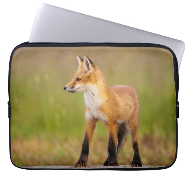 Red Fox Kit Notebookschlauch Laptopschutzhülle (Vorderseite)