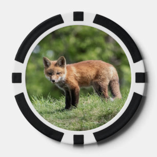 Red Fox Kit Pokerchips
