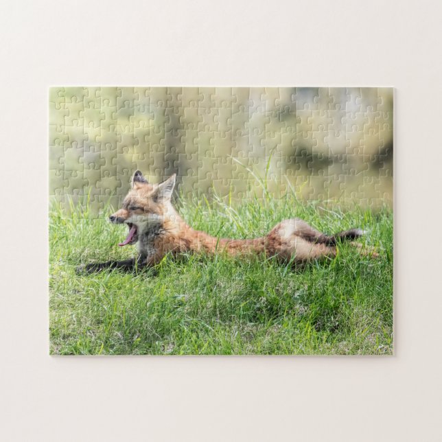 Red Fox Kit Puzzle (Horizontal)