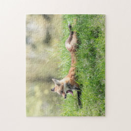 Red Fox Kit Puzzle