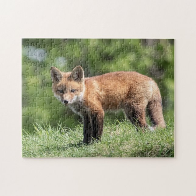 Red Fox Kit Puzzle (Horizontal)