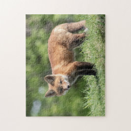 Red Fox Kit Puzzle