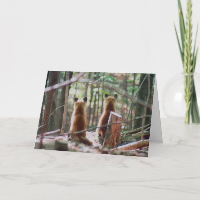 Red Fox Kits beobachten Karte (Vorderseite)