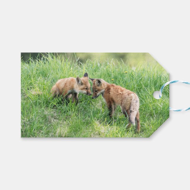 Red Fox Kits Geschenkanhänger (Vorderseite (Horizontal))