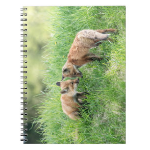 Red Fox Kits Notizblock