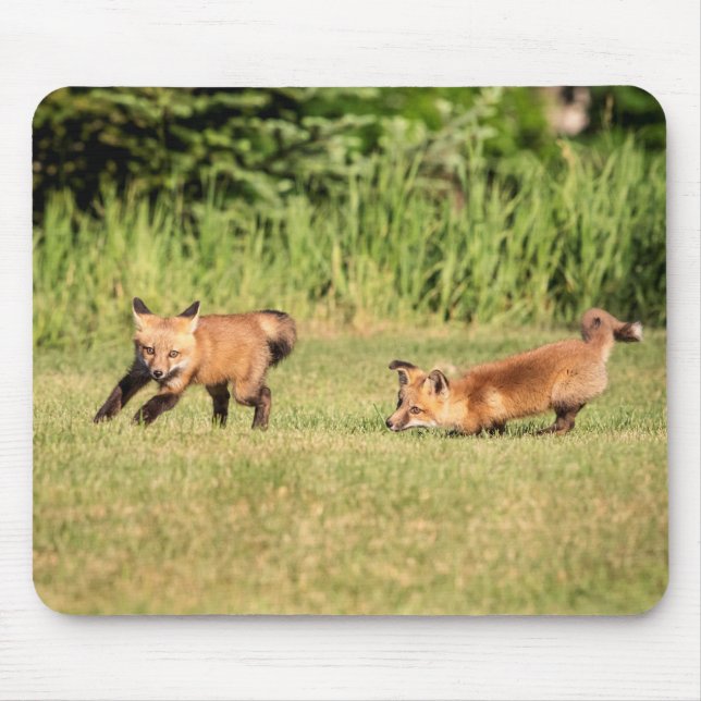 Red Fox Kits Playing Mousepad (Vorne)