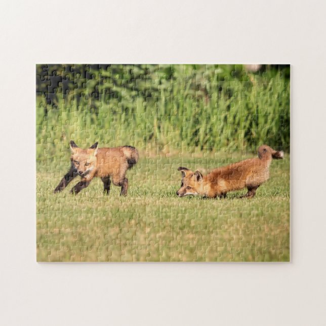 Red Fox Kits Playing Puzzle (Horizontal)