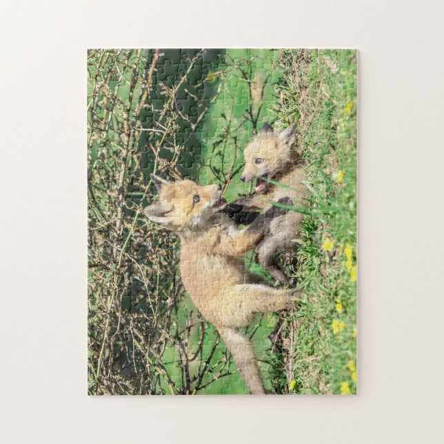 Red Fox Kits Playing Puzzle (Vertikal)